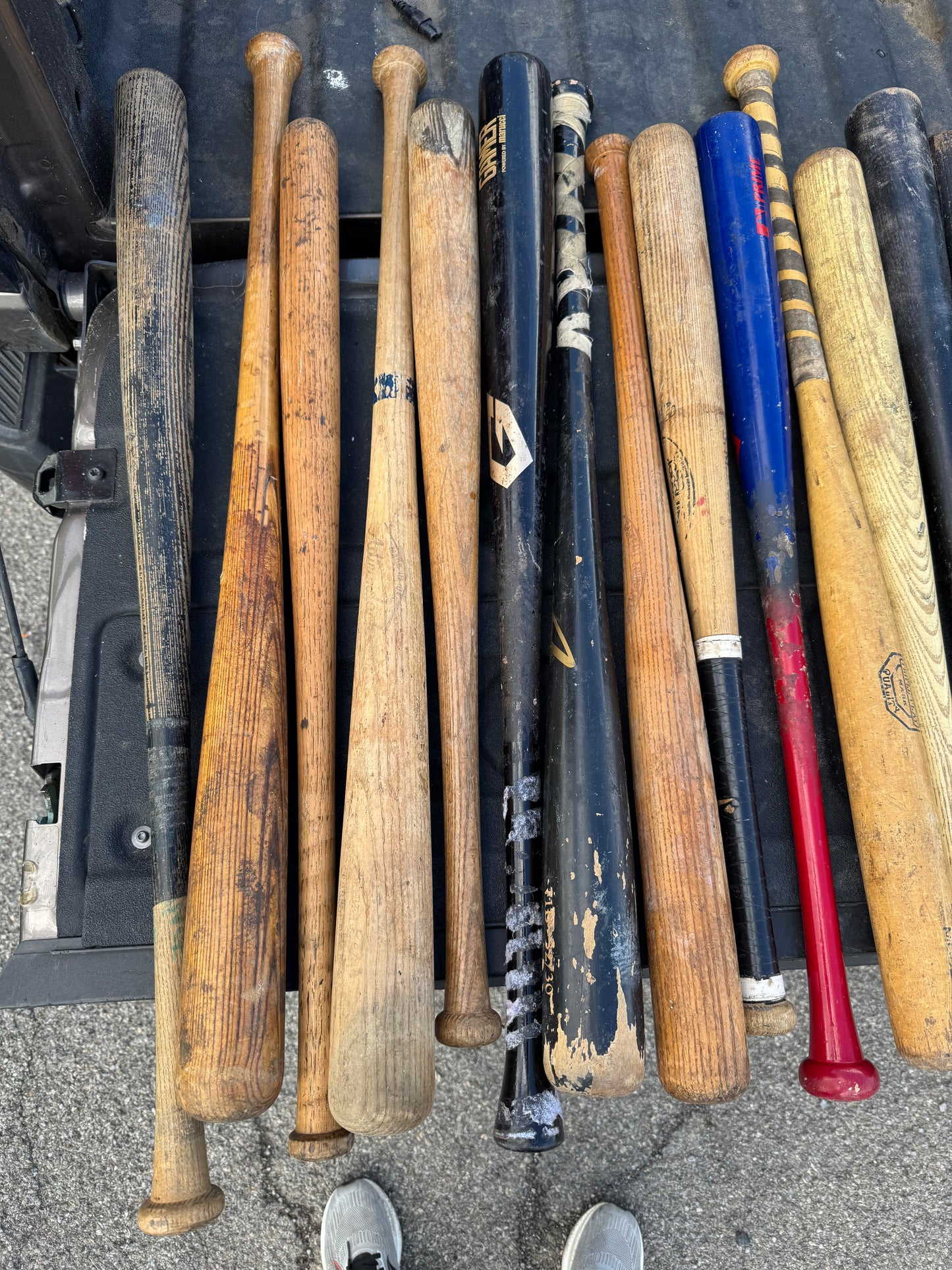Lot of 24 Wood Bats (shipping included to US)